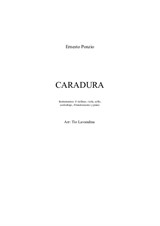 Caradura (Shameless)